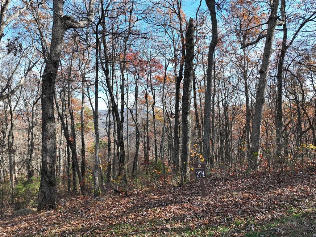 274 Andes Ridge Talking Rock, GA 30175 - Photo 50 of 61 a view of outdoor space with lots of trees