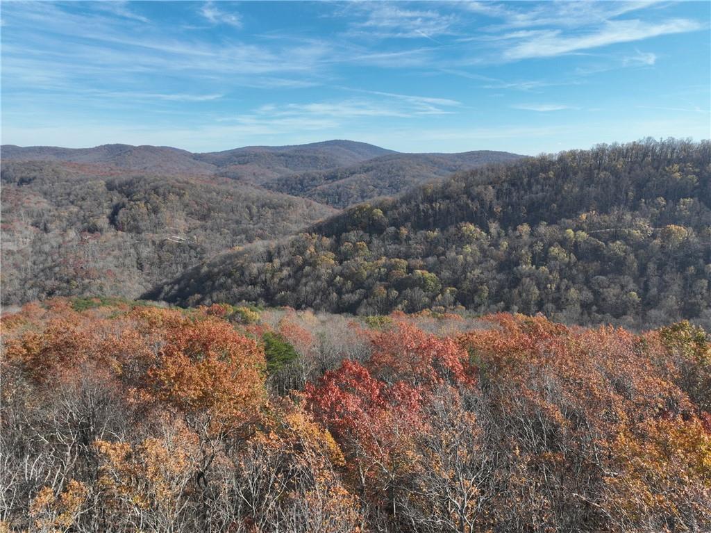 274 Andes Ridge Talking Rock, GA 30175 - Photo 5 of 61 a view of mountains and valleys