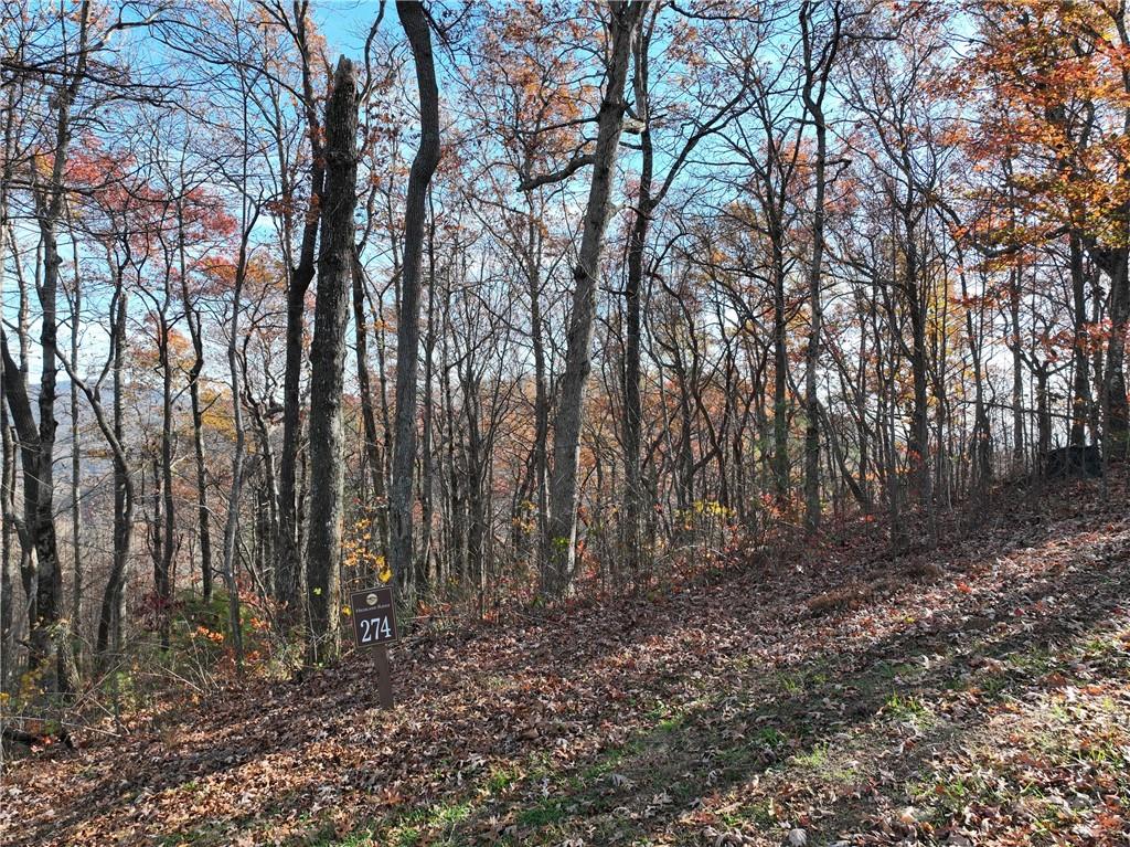 274 Andes Ridge Talking Rock, GA 30175 - Photo 51 of 61 a view of outdoor space with lots of trees