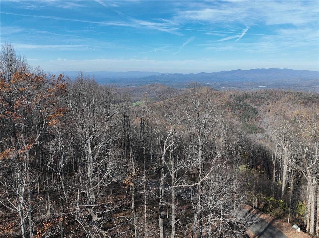 274 Andes Ridge Talking Rock, GA 30175 - Photo 52 of 61 a view of a city with lush green forest