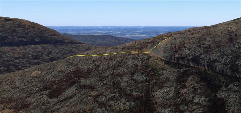 274 Andes Ridge Talking Rock, GA 30175 - Photo 58 of 61 a view of a dry yard