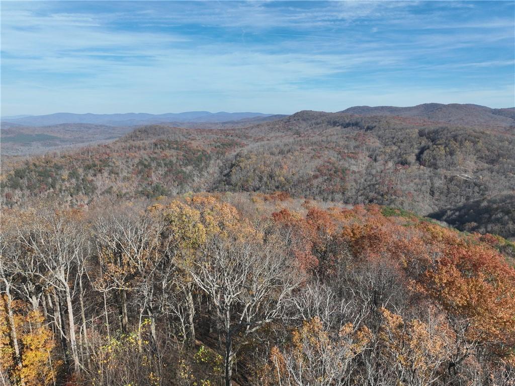 274 Andes Ridge Talking Rock, GA 30175 - Photo 6 of 61 a view of mountain view with lots of trees