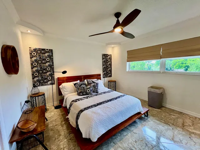 a view of a yard with plants