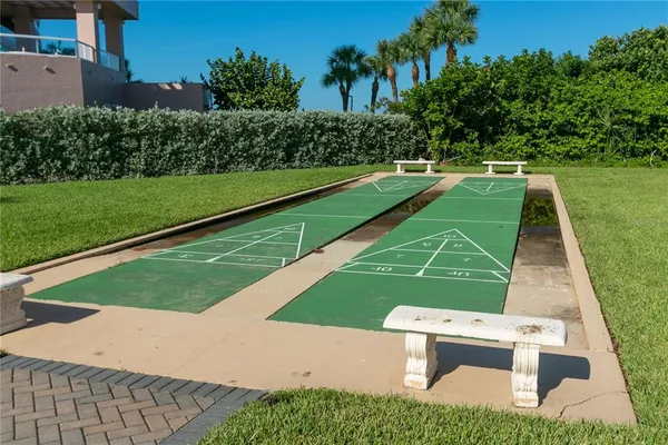 a view of a backyard with a garden and plants