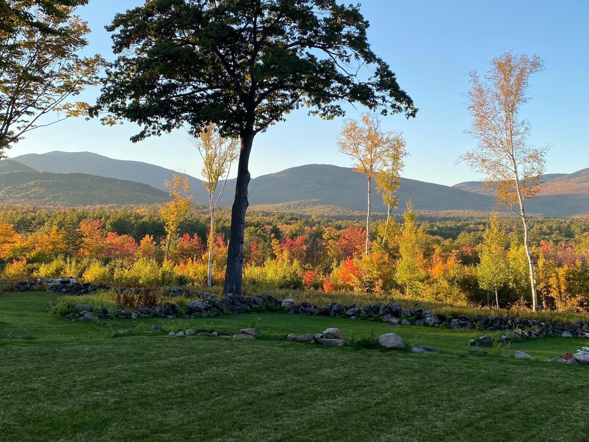 252 Whiteface Road Sandwich, NH 03259 - Photo 4 of 40