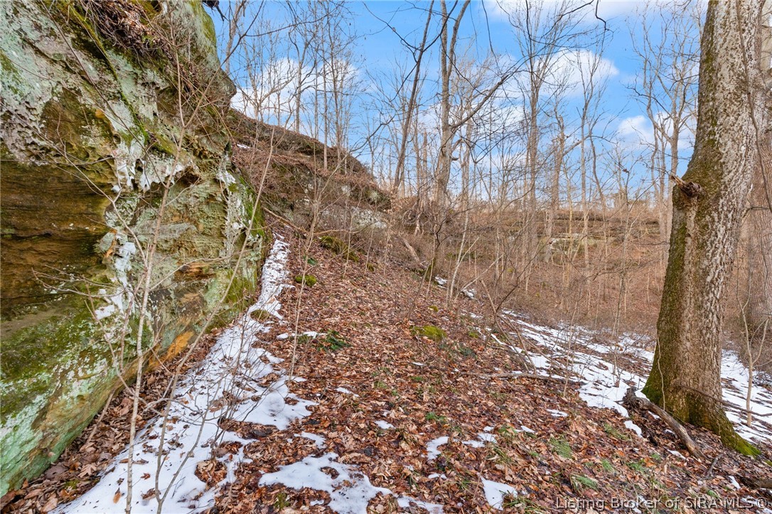 32.72-acres Oriole Road St. Croix, IN 47514 - Photo 22 of 56