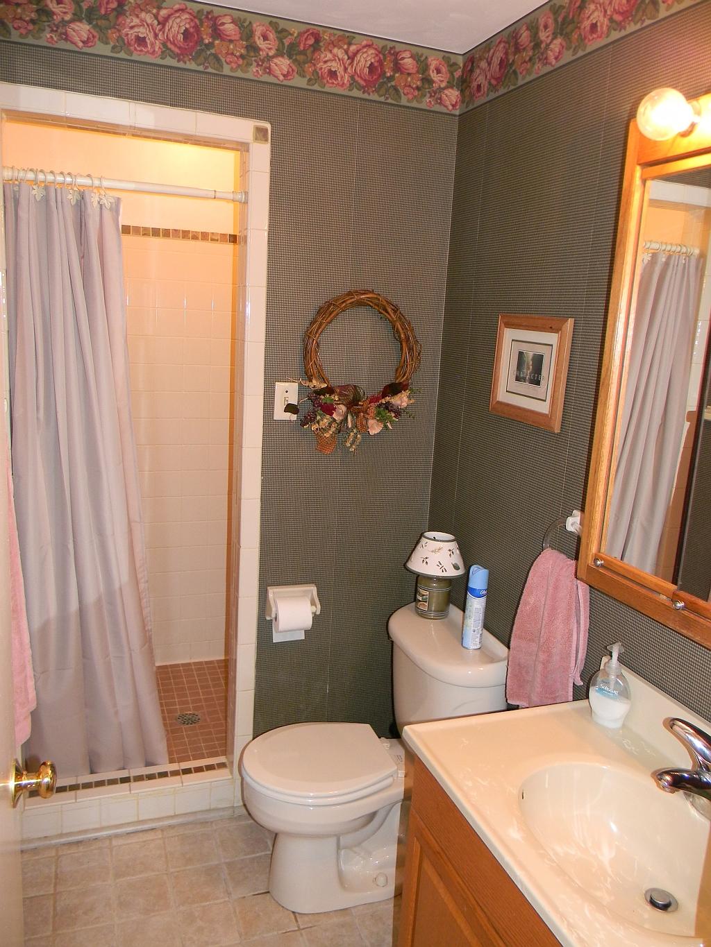 8208 Barrens Road Roanoke, VA 24019 - Photo 20 of 27 Lower Level Full Bath