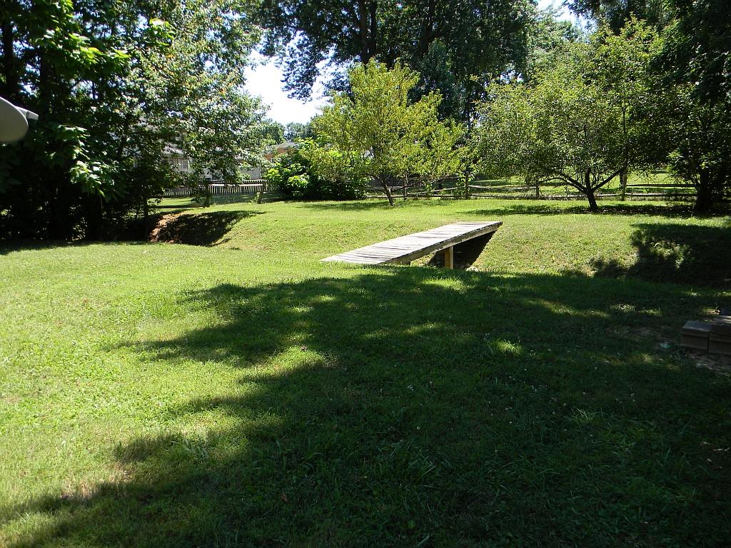 8208 Barrens Road Roanoke, VA 24019 - Photo 24 of 27 Back Yard
