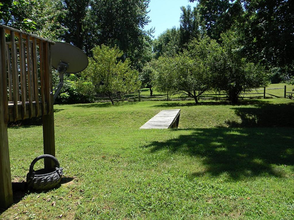 8208 Barrens Road Roanoke, VA 24019 - Photo 25 of 27 Back Yard