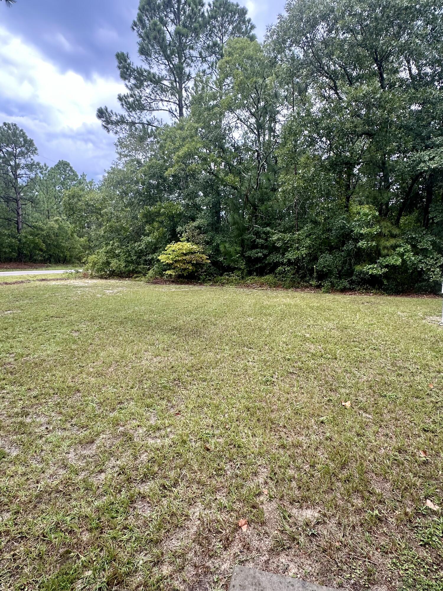 1245 Windy Wood Road Lexington, SC 29073 - Photo 62 of 63