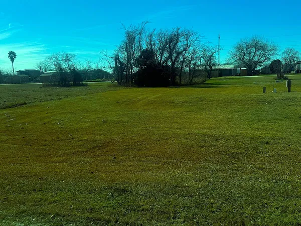 a view of a grassy field with trees