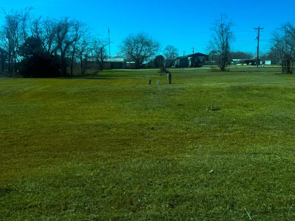 a view of field with tall trees