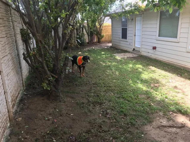 a backyard of a house with lots of green space