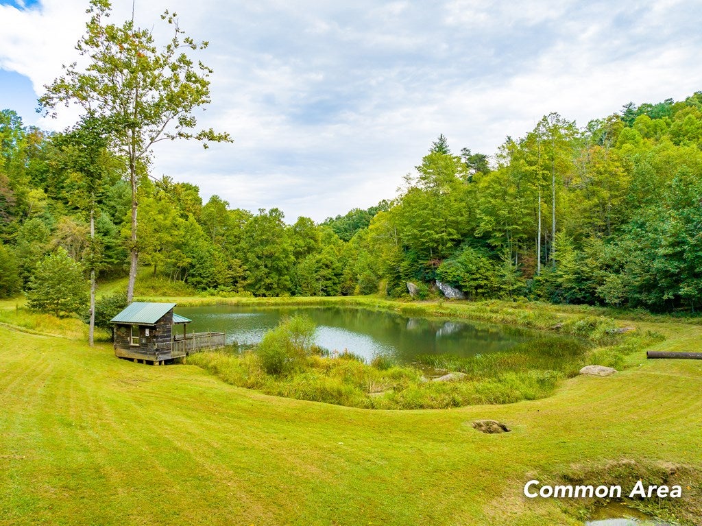 Cc Spring Pond Trail, Unit CC Fancy Gap, VA 24328 - Photo 22 of 46 Gallery Image 22