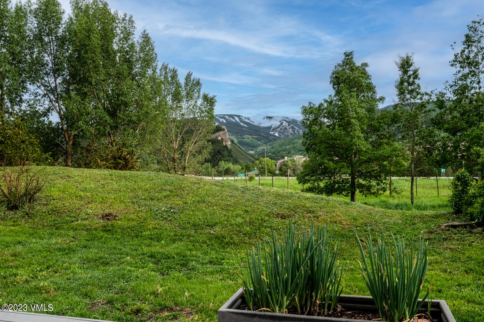 211 Nottingham Road, Unit D Avon, CO 81620 - Photo 32 of 35 a green field with lots of trees in it