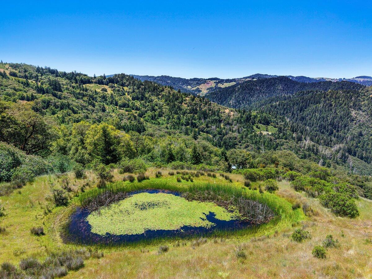 4590 Rd A Garberville, CA 95542 - Photo 13 of 25