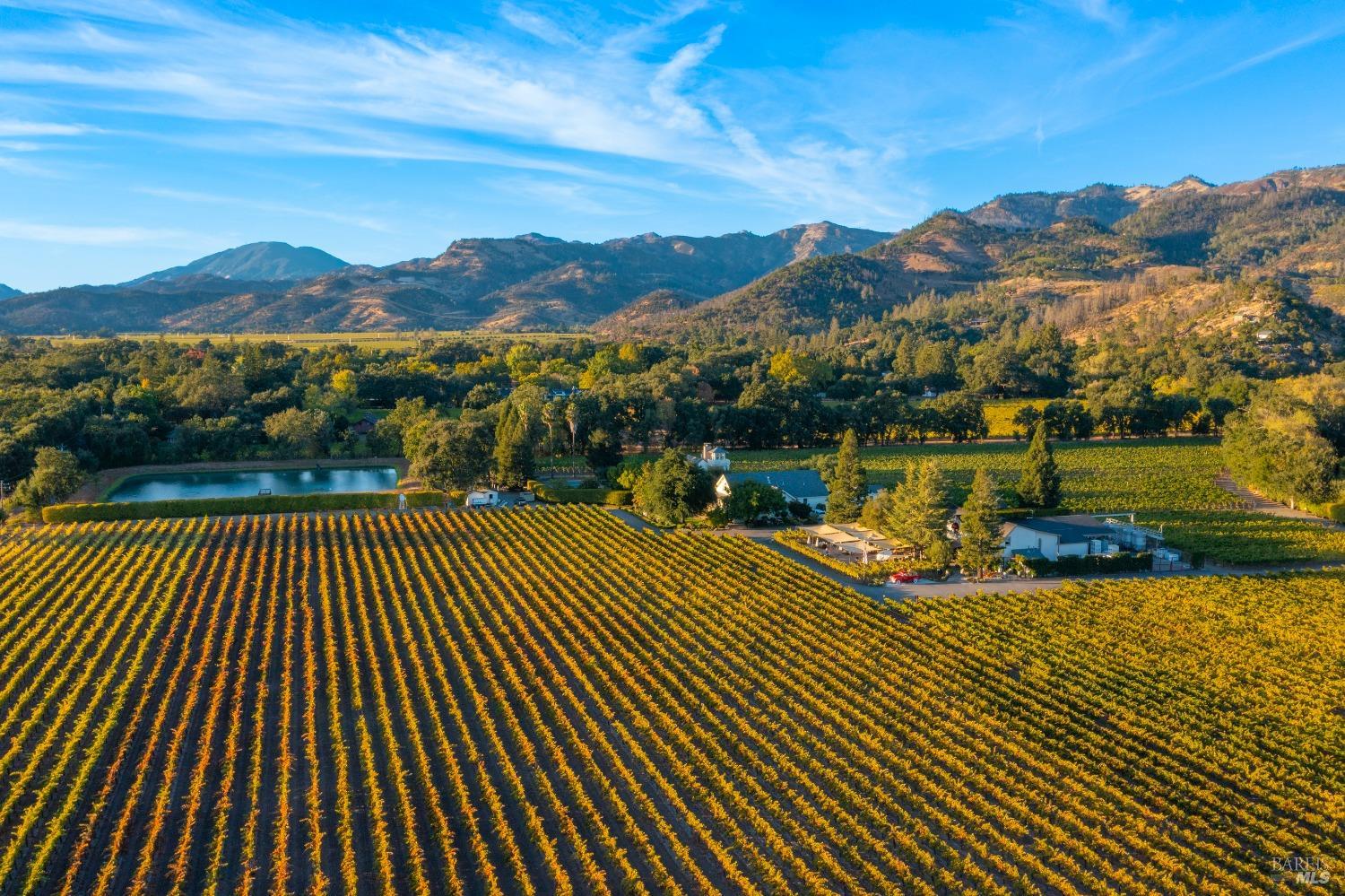 1010 Big Tree Road Calistoga, CA 94515 - Photo 3 of 24