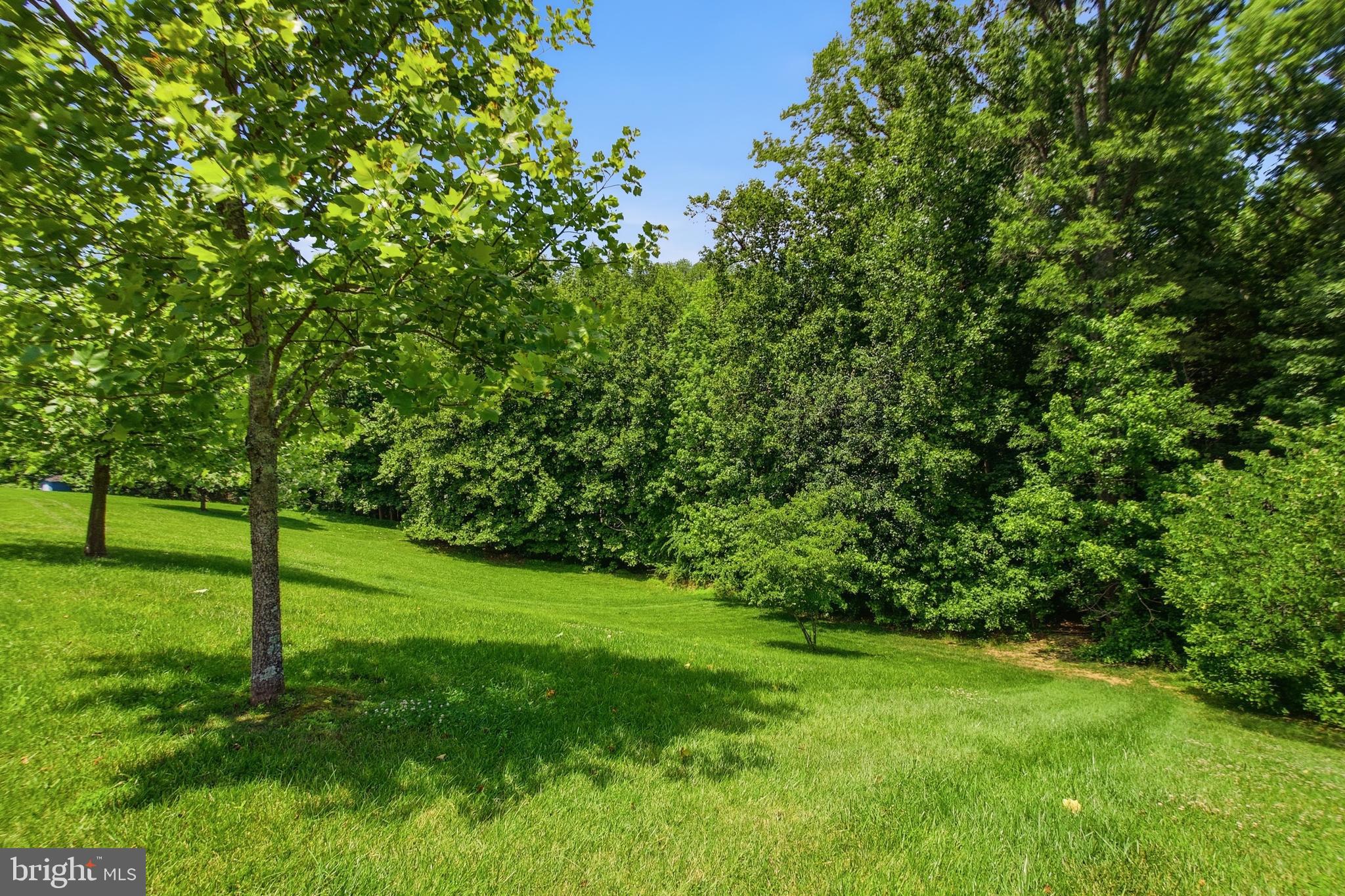 10615 Quaking Aspen Way Clinton, MD 20735 - Photo 50 of 52