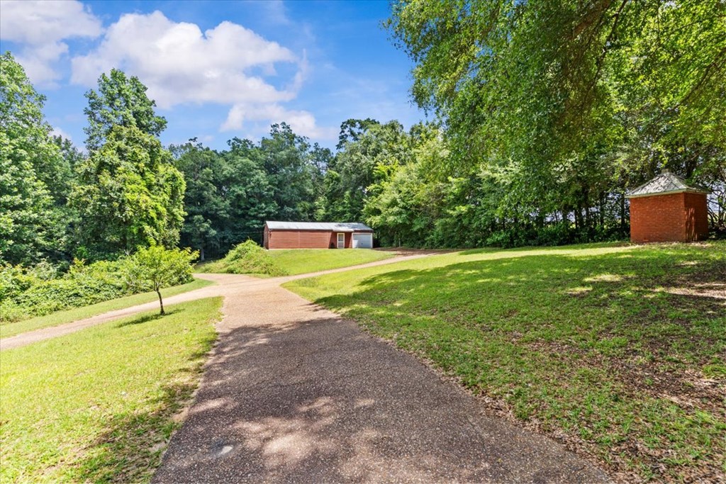 994 Doe Run Road Newton, AL 36352 - Photo 28 of 42