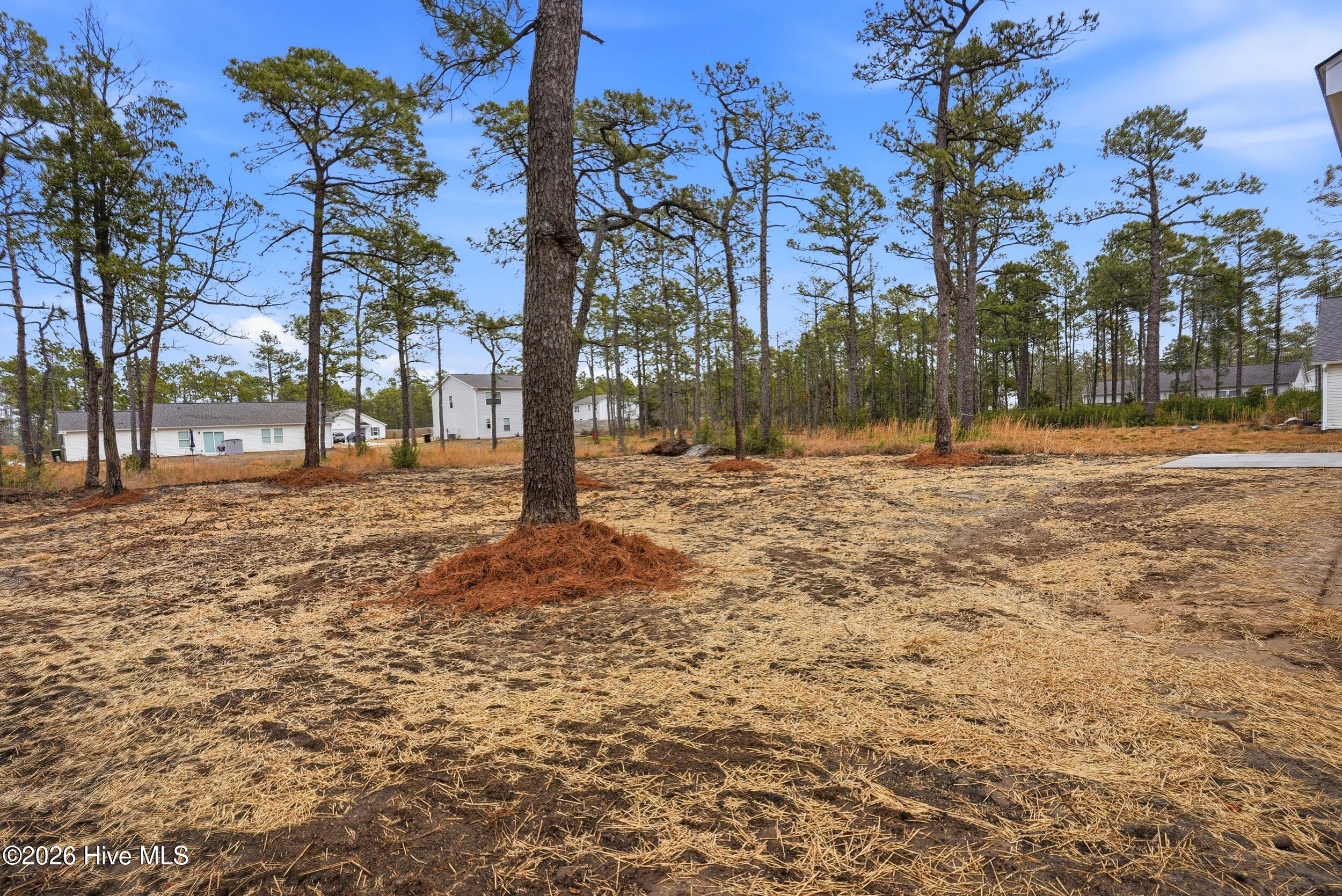 951 Westway Road Southport, NC 28461 - Photo 10 of 43 34_951_westway_rd_034