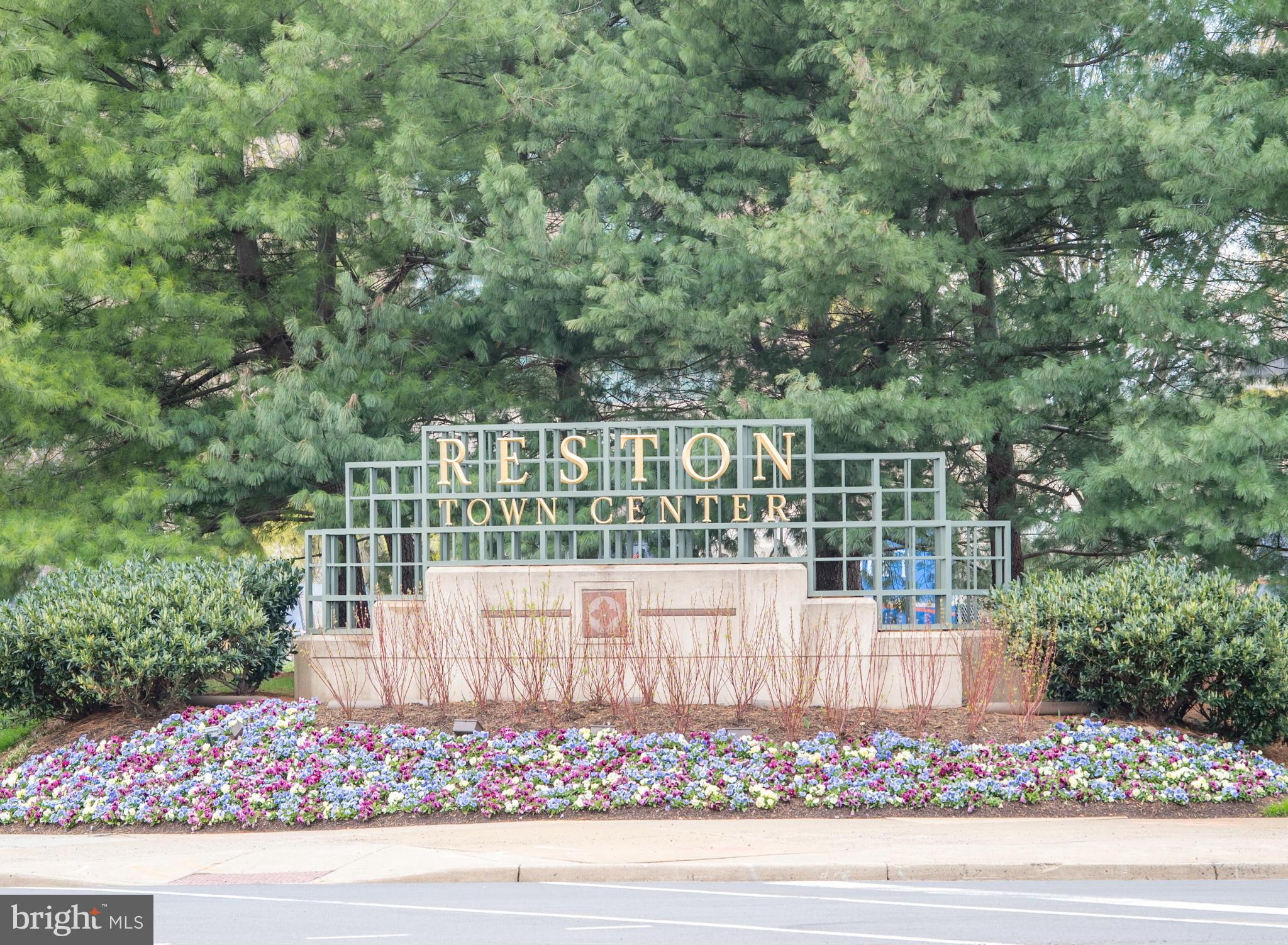 1631 Bennington Hollow Lane Reston, VA 20194 - Photo 20 of 23 Community