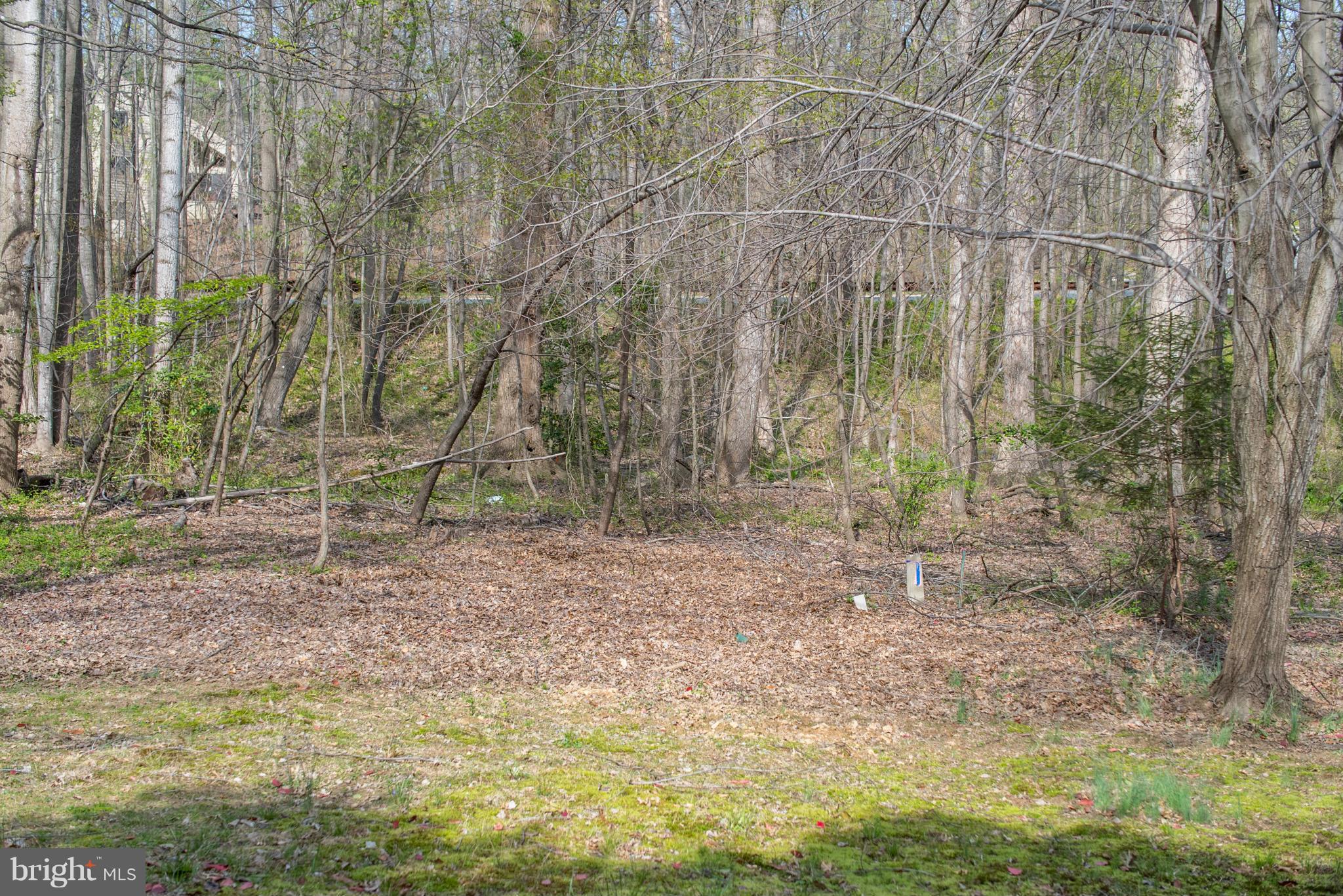1631 Bennington Hollow Lane Reston, VA 20194 - Photo 23 of 23 Exterior (Rear) - Wooded Common Area