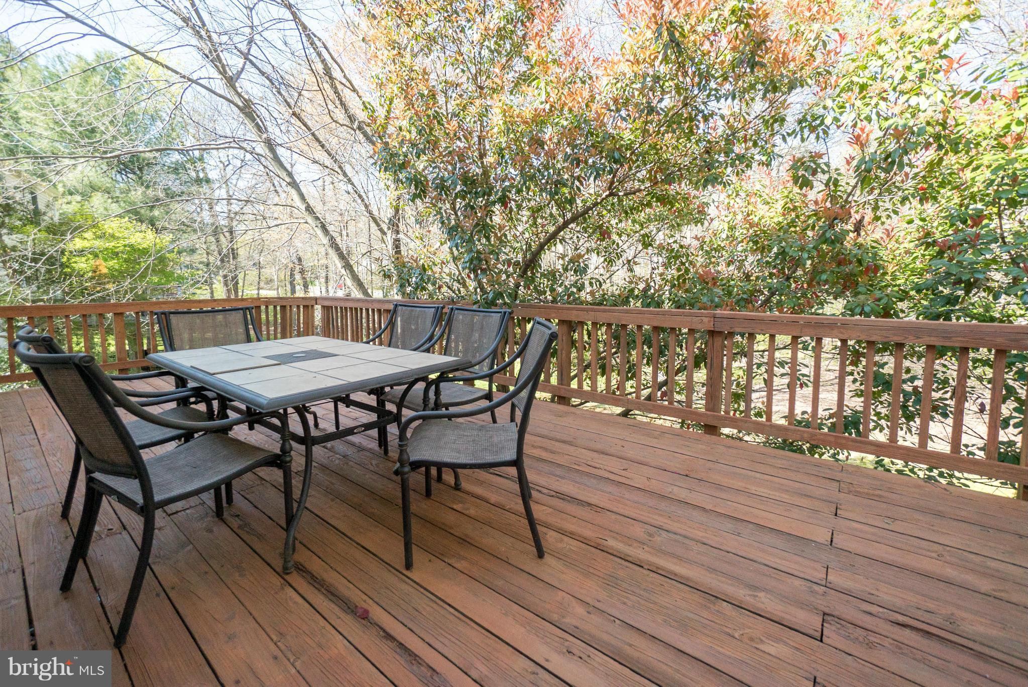 1631 Bennington Hollow Lane Reston, VA 20194 - Photo 4 of 23 Exterior Deck