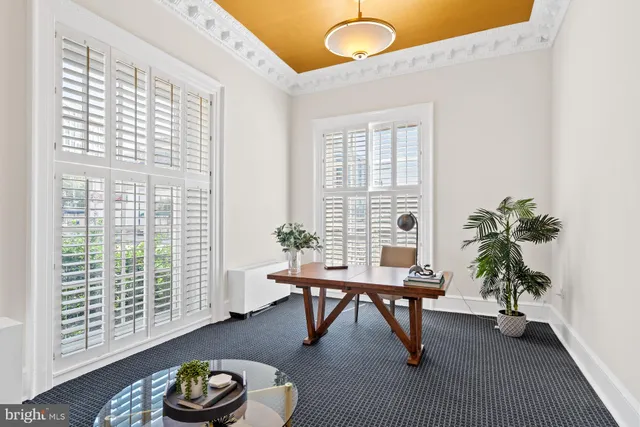 a living room with furniture and a potted plant