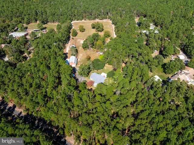 a view of a tree in a yard