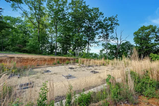 a view of yard with trees