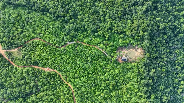 a view of a dirt road with trees in the background