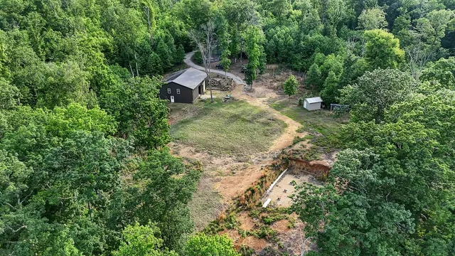 a view of a yard with plants