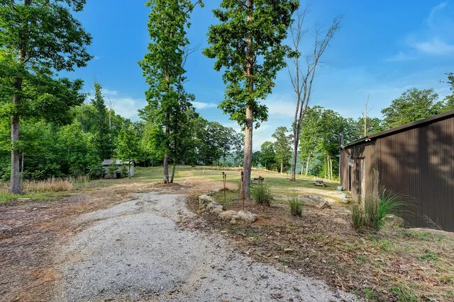 a view of a yard with plants and trees