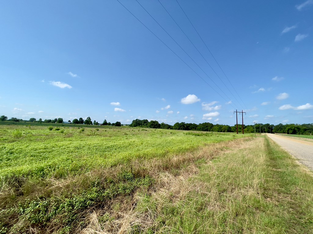 0 Gilley Mill Road Webb, AL 36376 - Photo 6 of 14