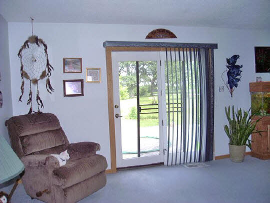 19962 Coleta Road Sterling, IL 61081 - Photo 5 of 6 a living room with furniture and a window