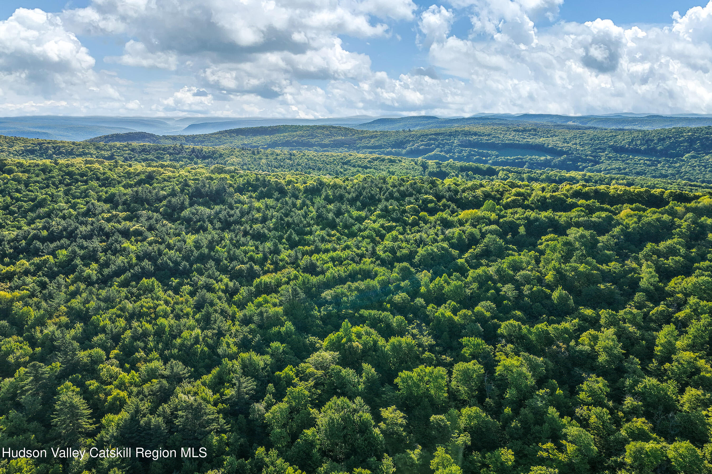 0 Frank Slawson Road Oneonta, NY 13820 - Photo 3 of 29 DJI_20260603070310_0490_D-Edit