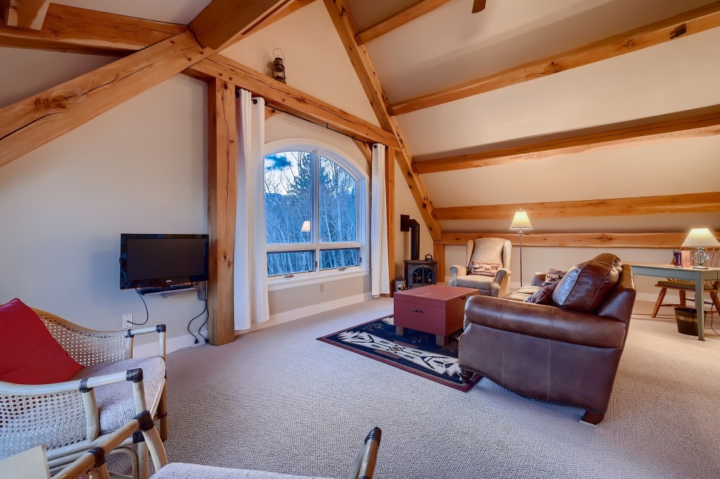 480 Adventure Road Alma, CO 80420 - Photo 21 of 26 Gallery Image 21