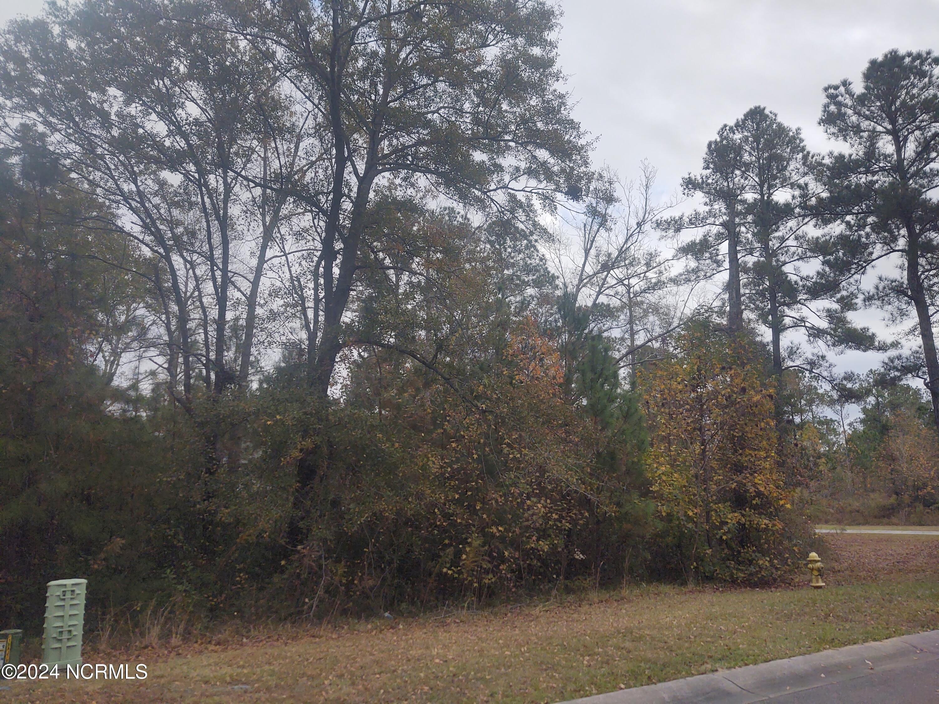 3819 Hallmark Road Northeast Leland, NC 28451 - Photo 3 of 12 IMG_20231120_150343759