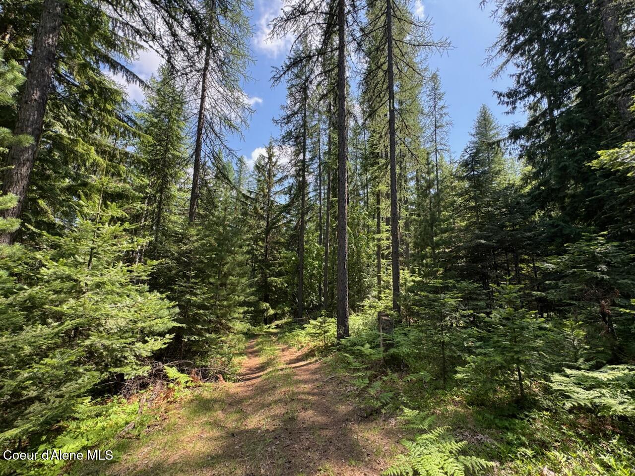 Nna Rolling Thunder Ridge Road Sandpoint, ID 83864 - Photo 28 of 37 .