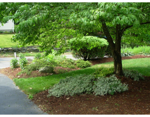 90 Scadding Street Taunton, MA 02780 - Photo 10 of 28 Gallery Image 10