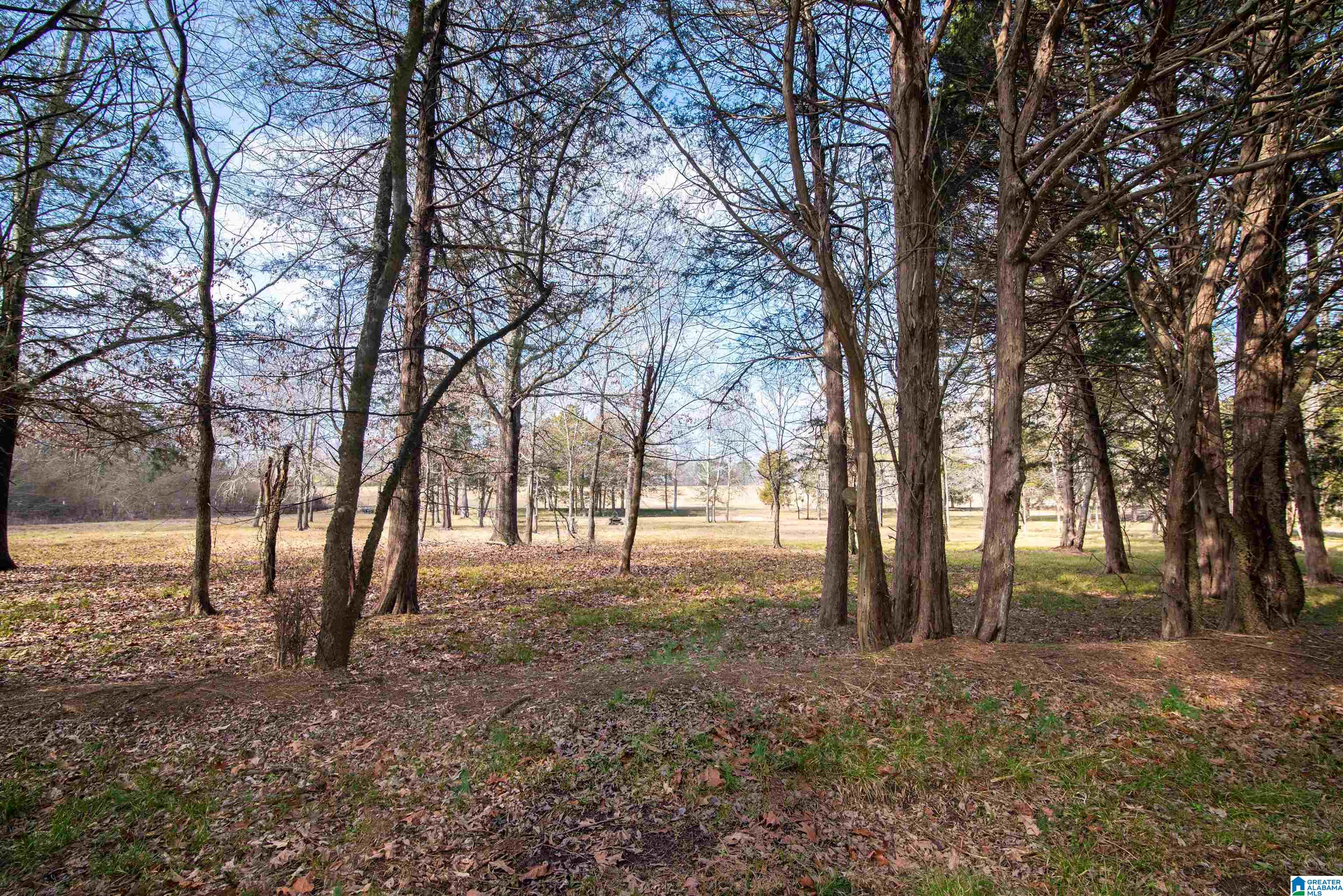 0 Day Drive, Unit 10 Somerville, AL 35670 - Photo 15 of 16
