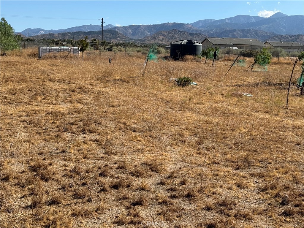 9934 Lager Road Phelan, CA 92371 - Photo 9 of 28 Gallery Image 9