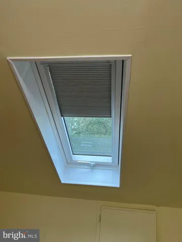 a view of banana tree