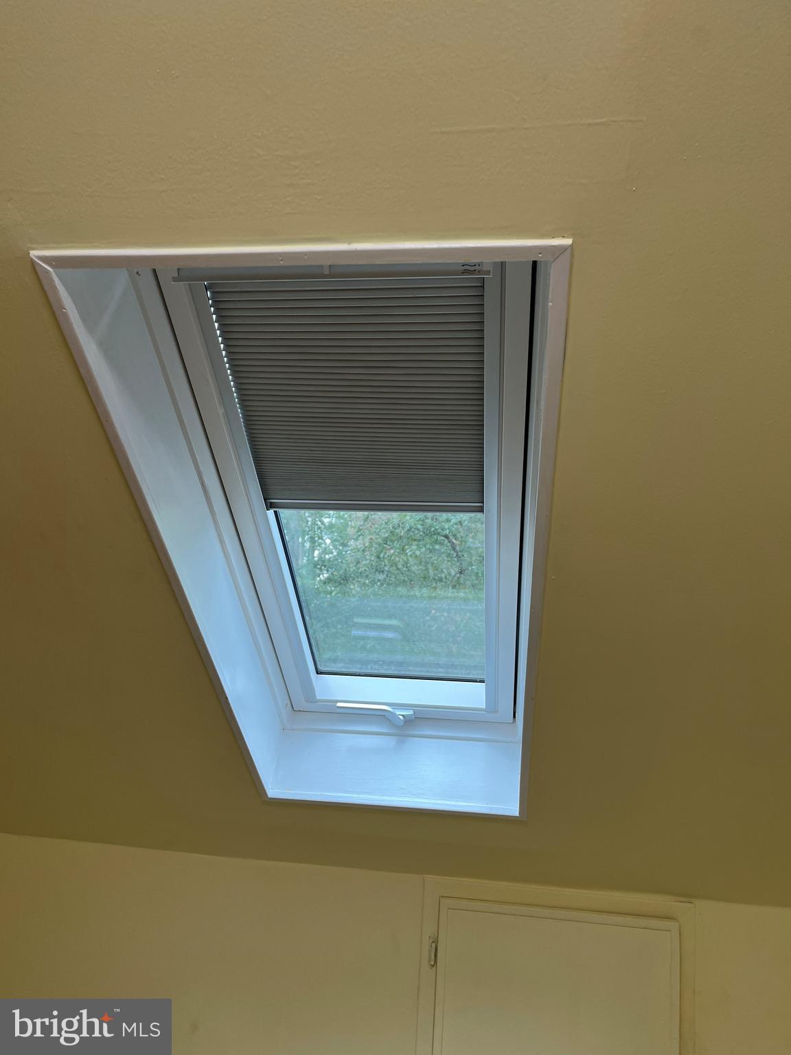 118 7th Street Colonial Beach, VA 22443 - Photo 41 of 55 Skylinght view 2