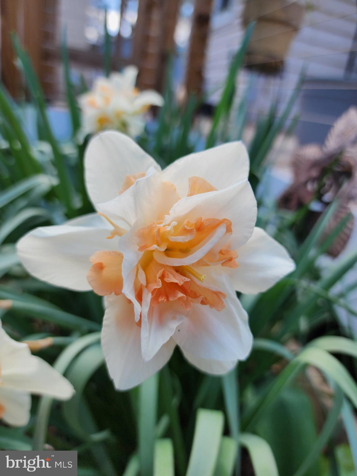 118 7th Street Colonial Beach, VA 22443 - Photo 42 of 55