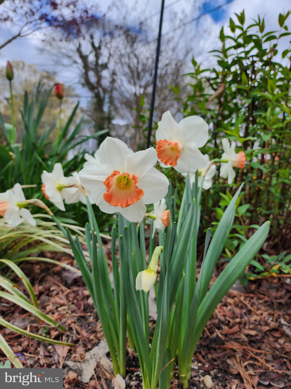118 7th Street Colonial Beach, VA 22443 - Photo 43 of 55