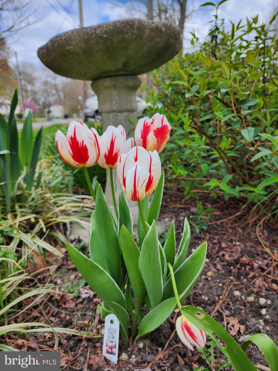 118 7th Street Colonial Beach, VA 22443 - Photo 44 of 55