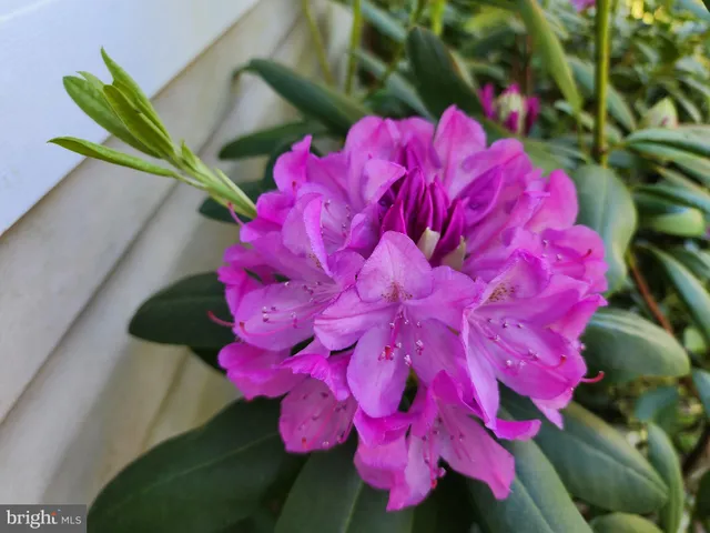 a view of building with swimming pool