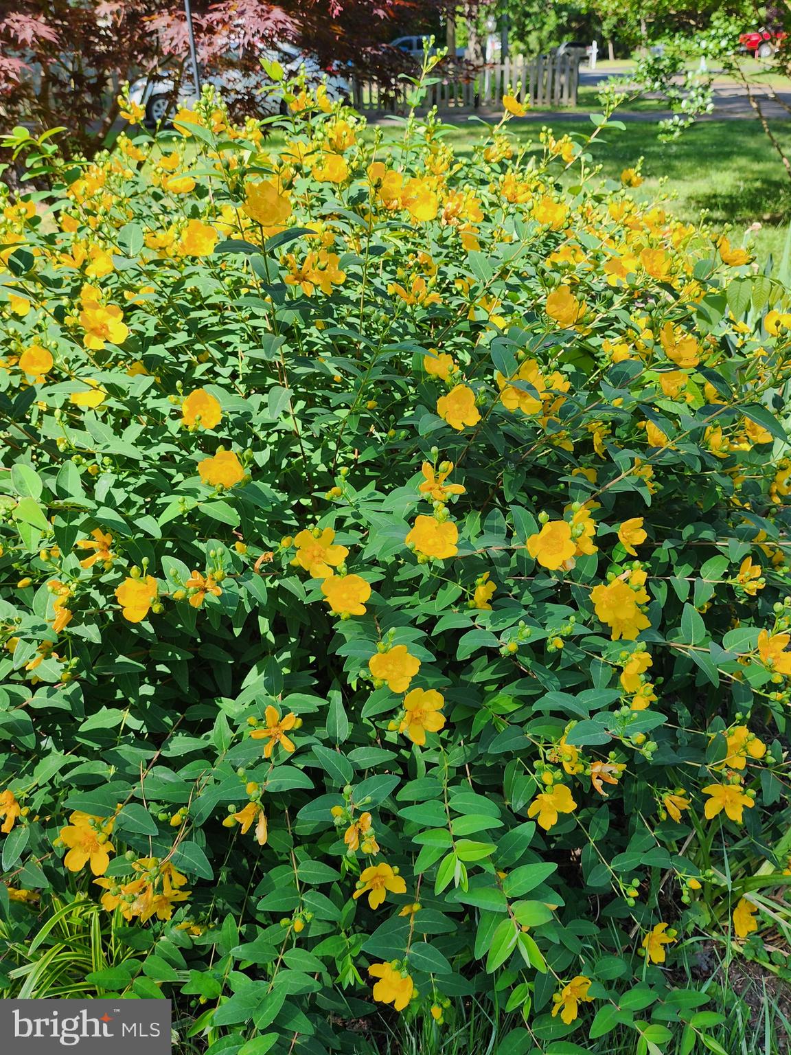 118 7th Street Colonial Beach, VA 22443 - Photo 48 of 55