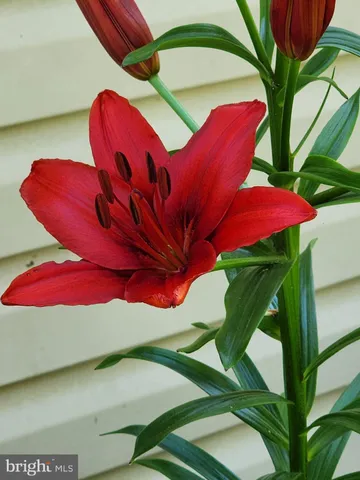a view of an ocean and city